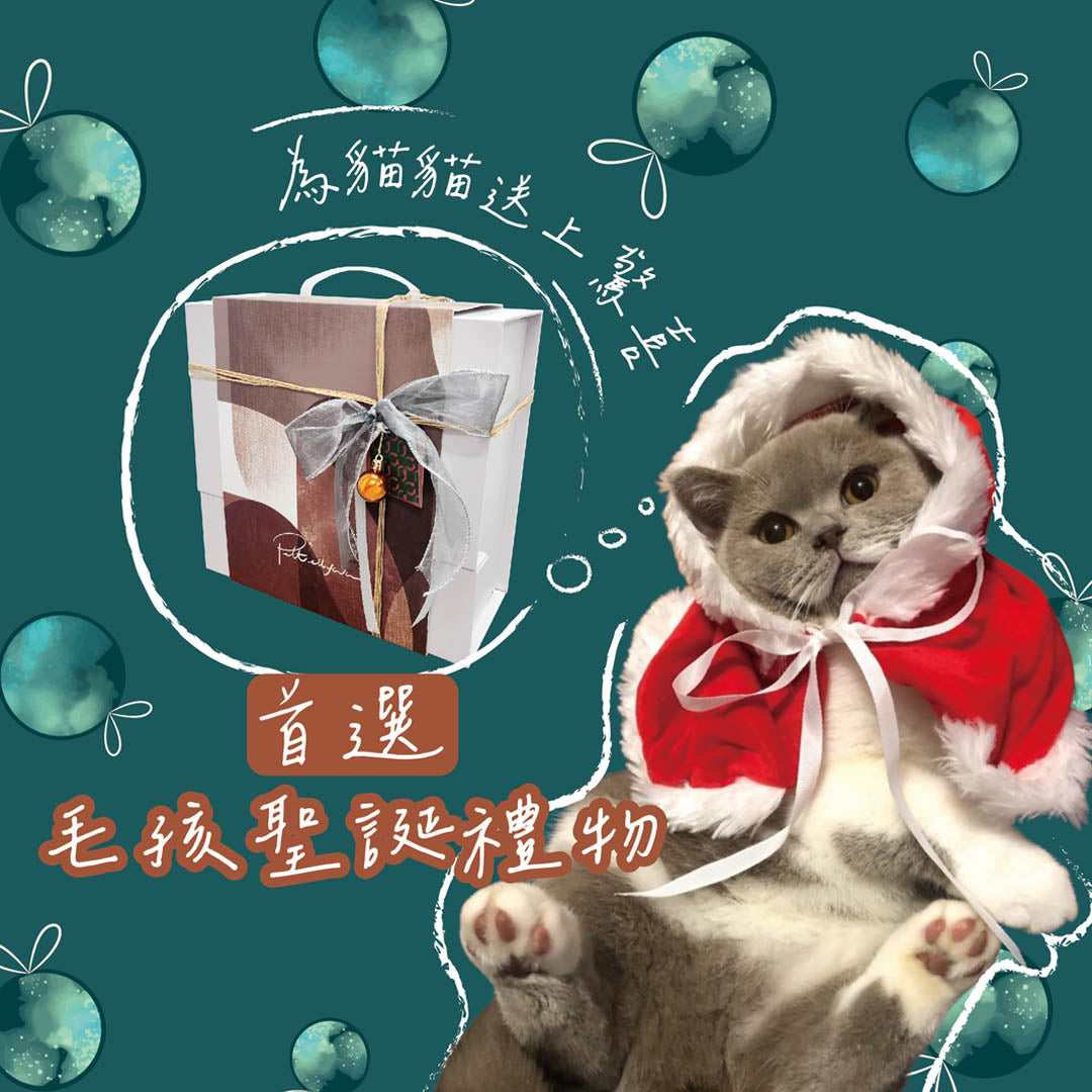 【🐱🎁聖誕禮物首選🎄】貓界首推盲盒🥇貓抓板