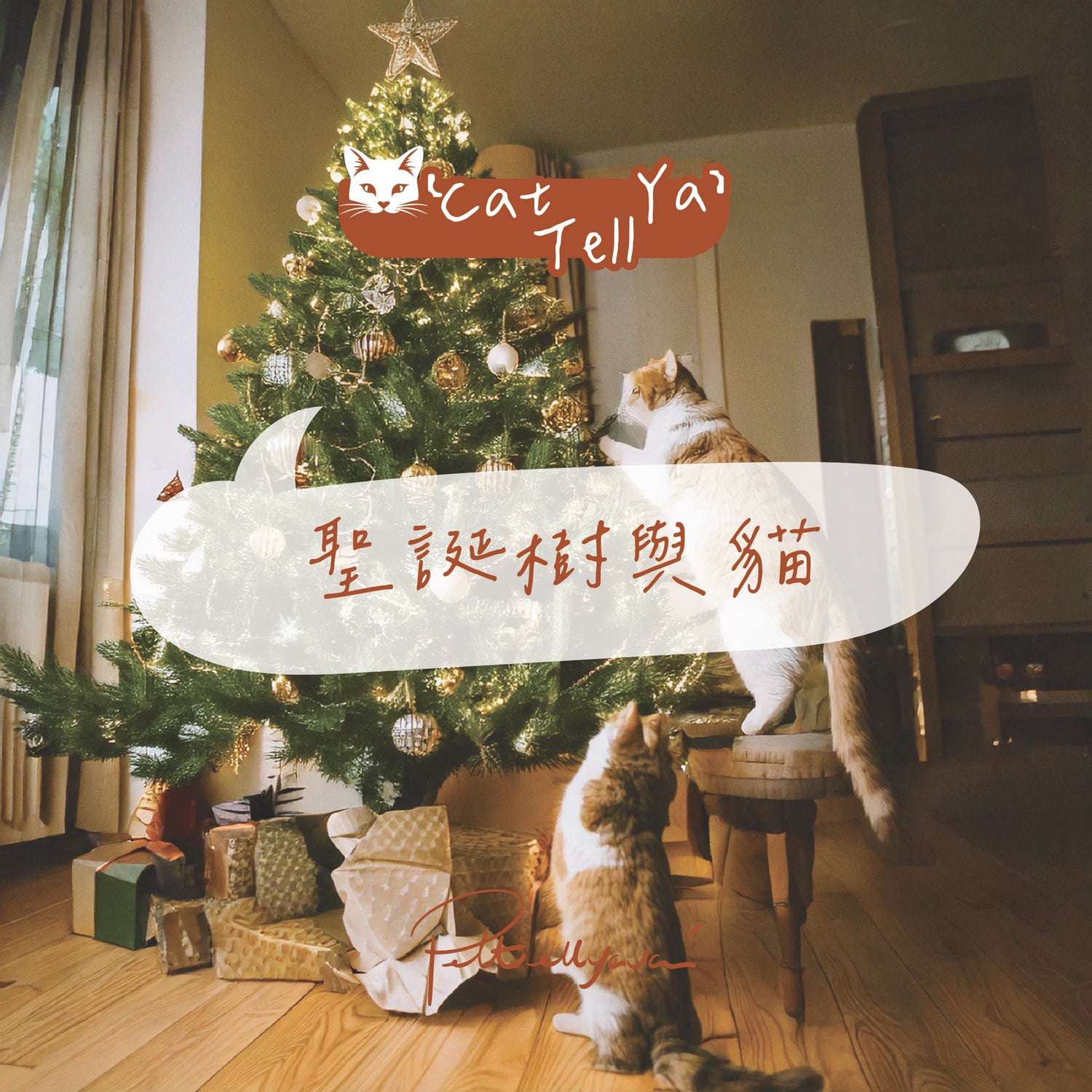"Cat Tell Ya" 系列 【🎄聖誕樹與貓🐱】
