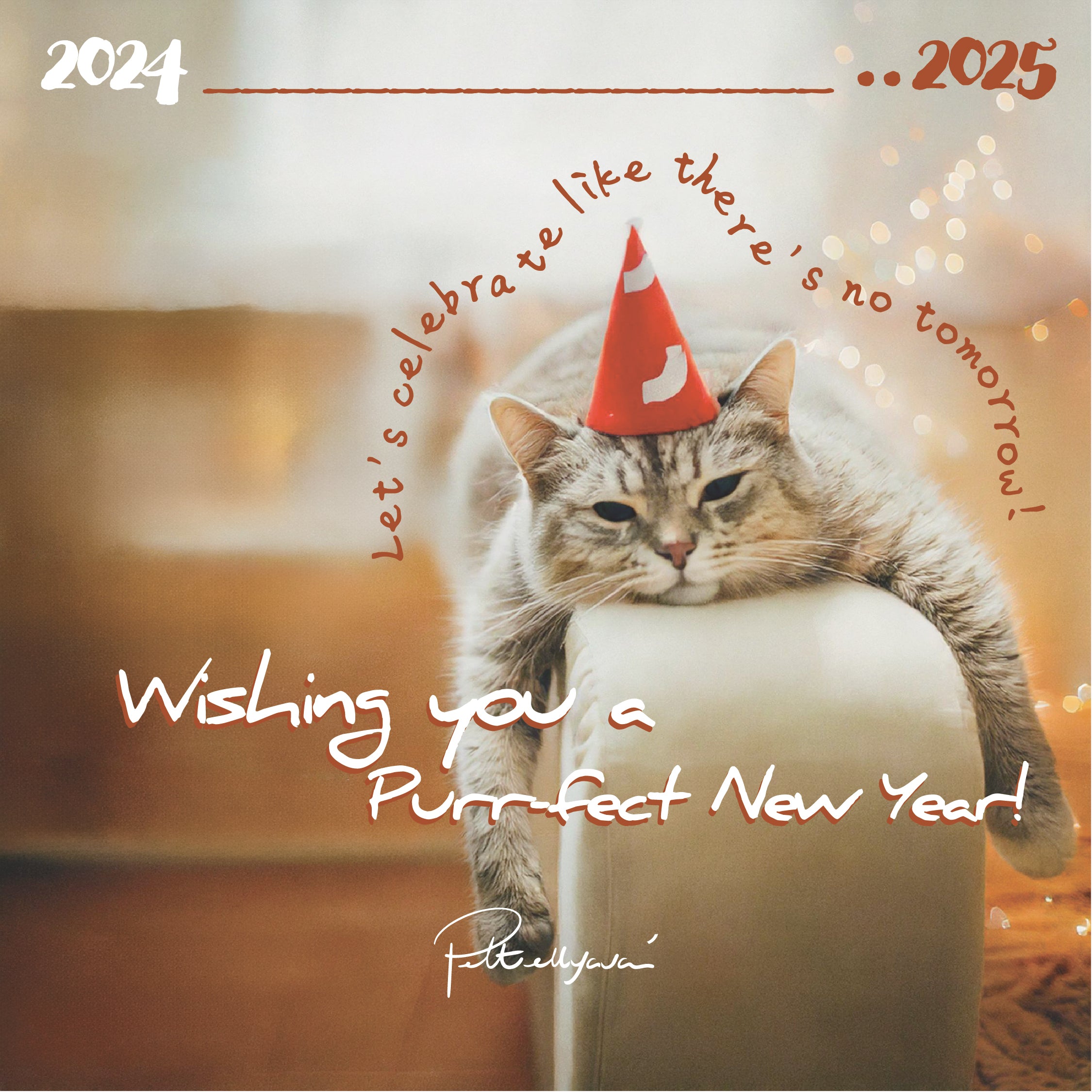 【Wishing You a Purrfect New Year!🐾】