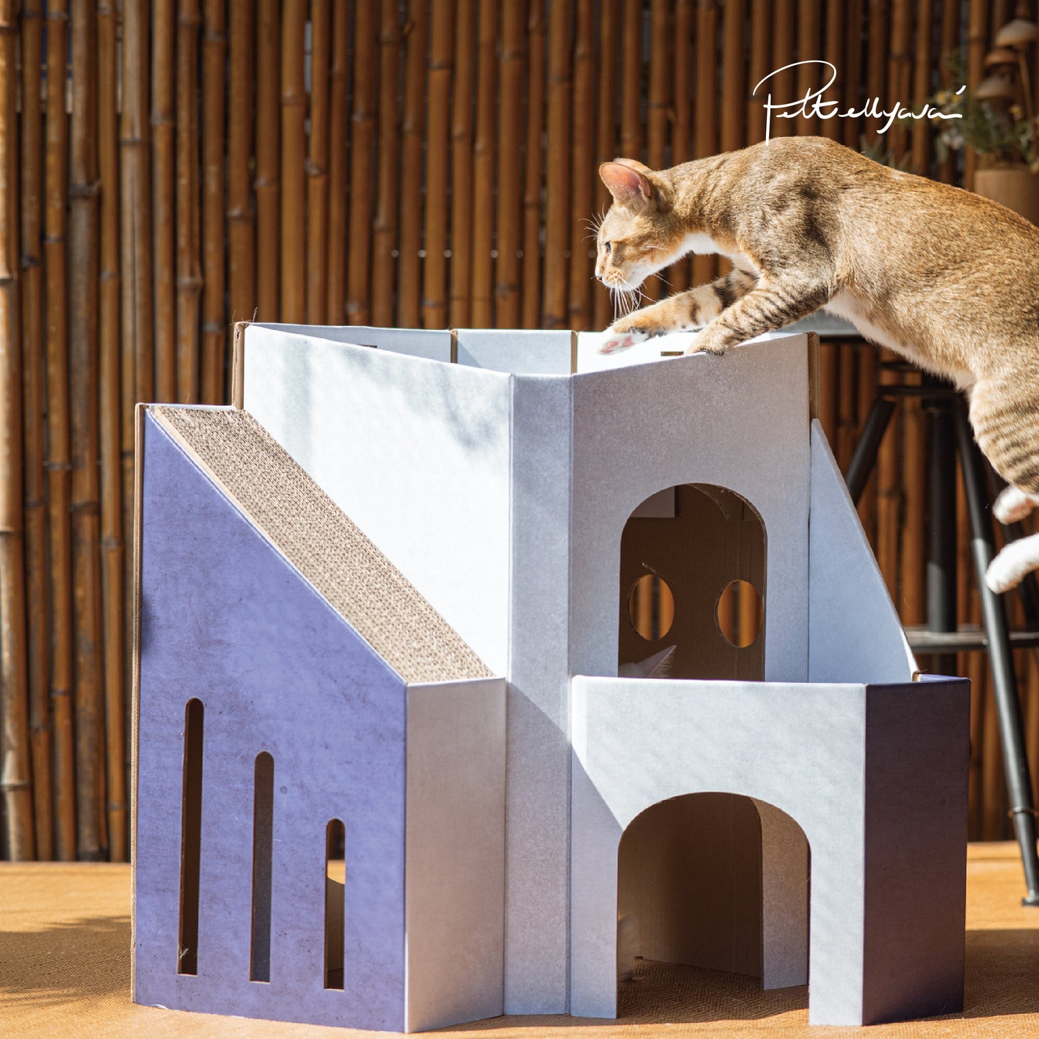 每月用家回圖🐱Mini Cat Mansion 🏠