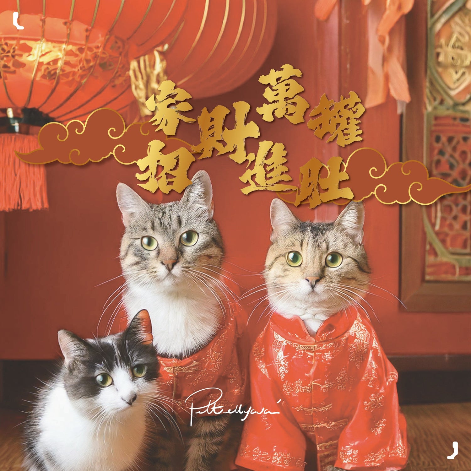 【🧧恭喜喵財🏮】