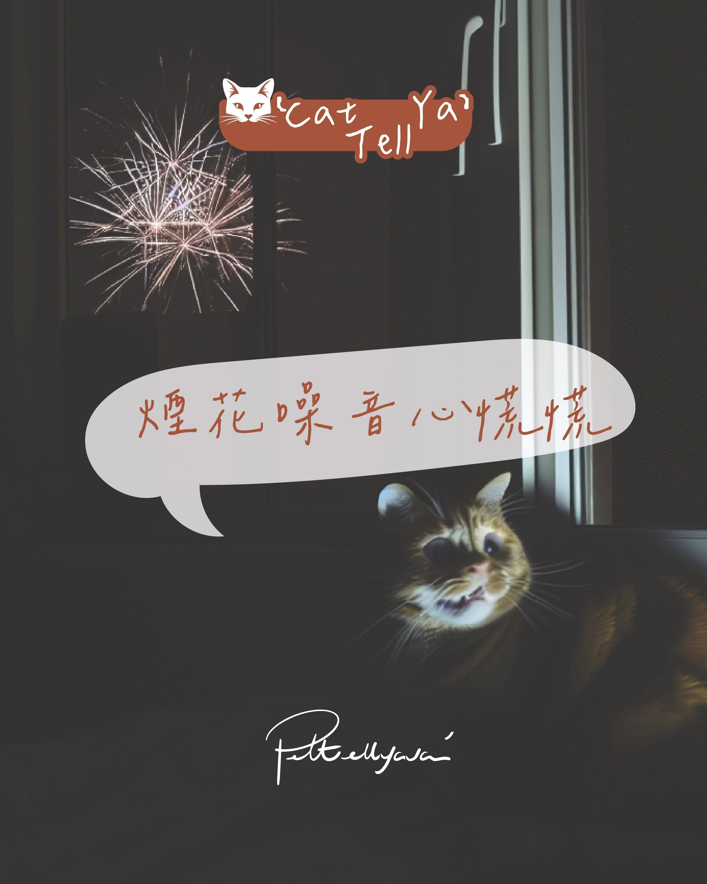 "Cat Tell Ya" 系列 【🎇煙花噪音🐱心慌慌】