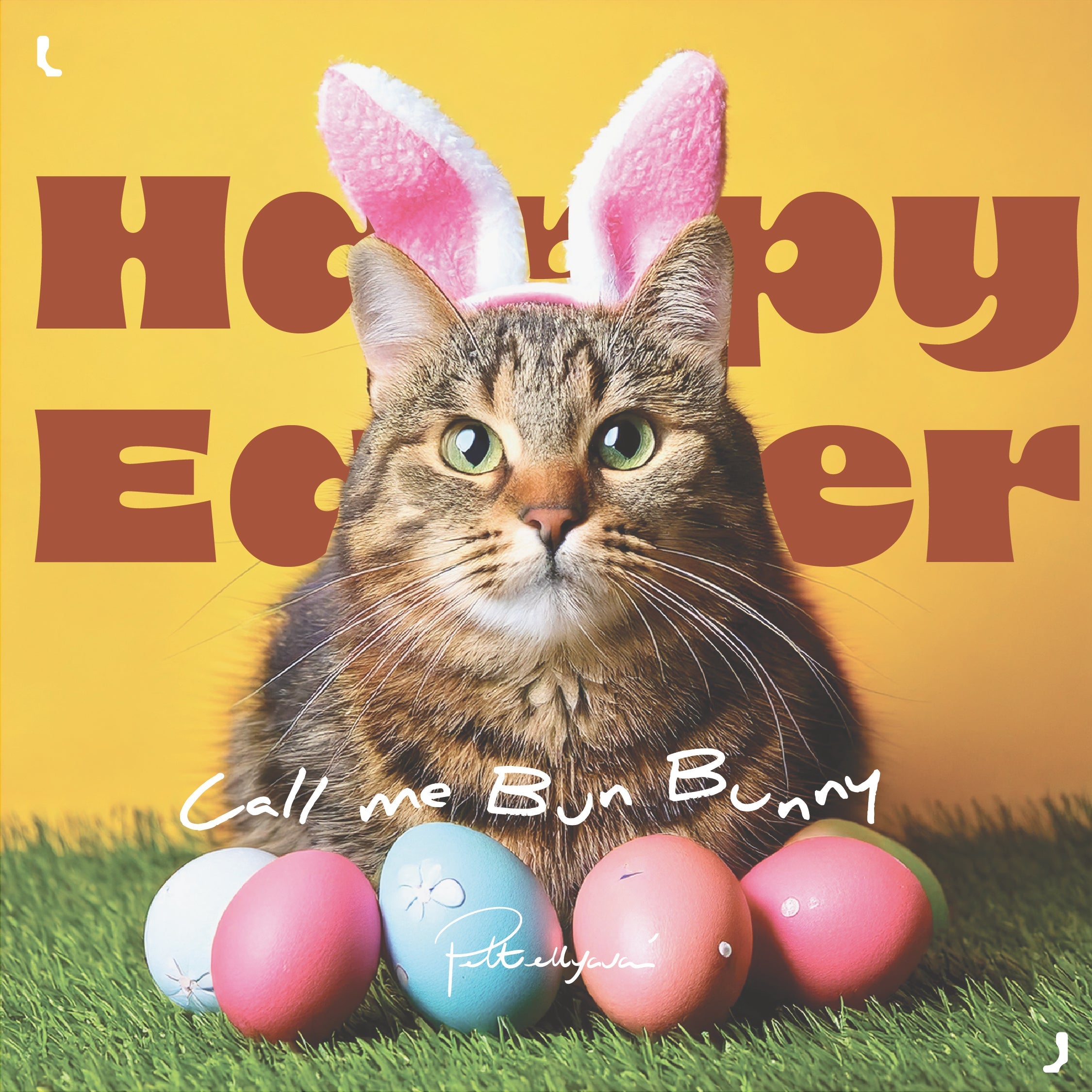 Easter is here! 🐣