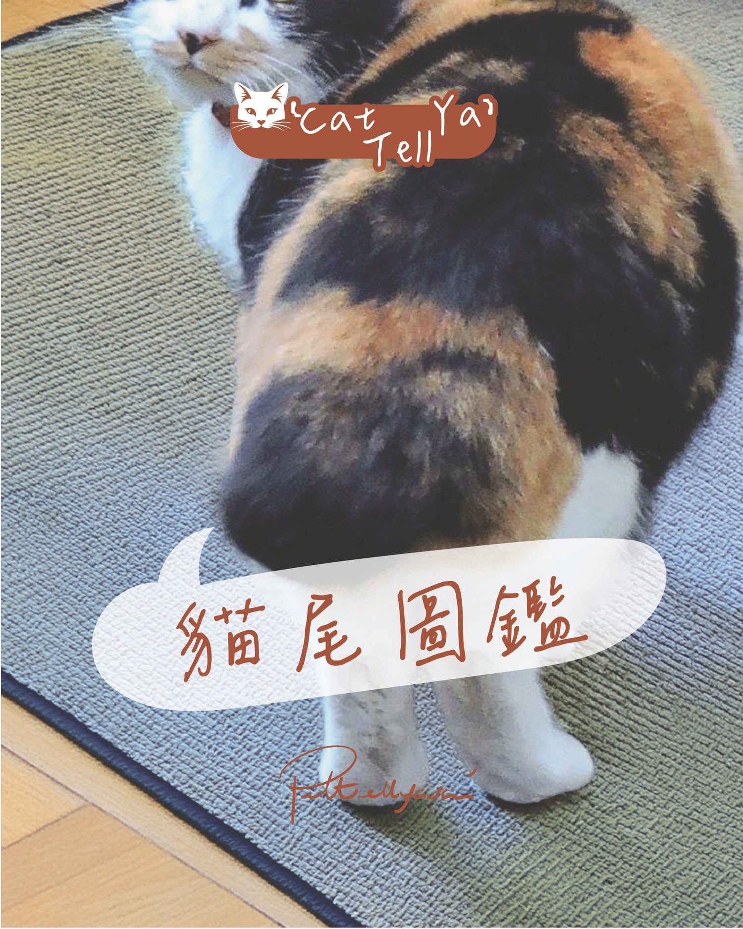 "Cat Tell Ya" 系列🐱【貓尾圖鑑】睇下你主子係咩尾型!