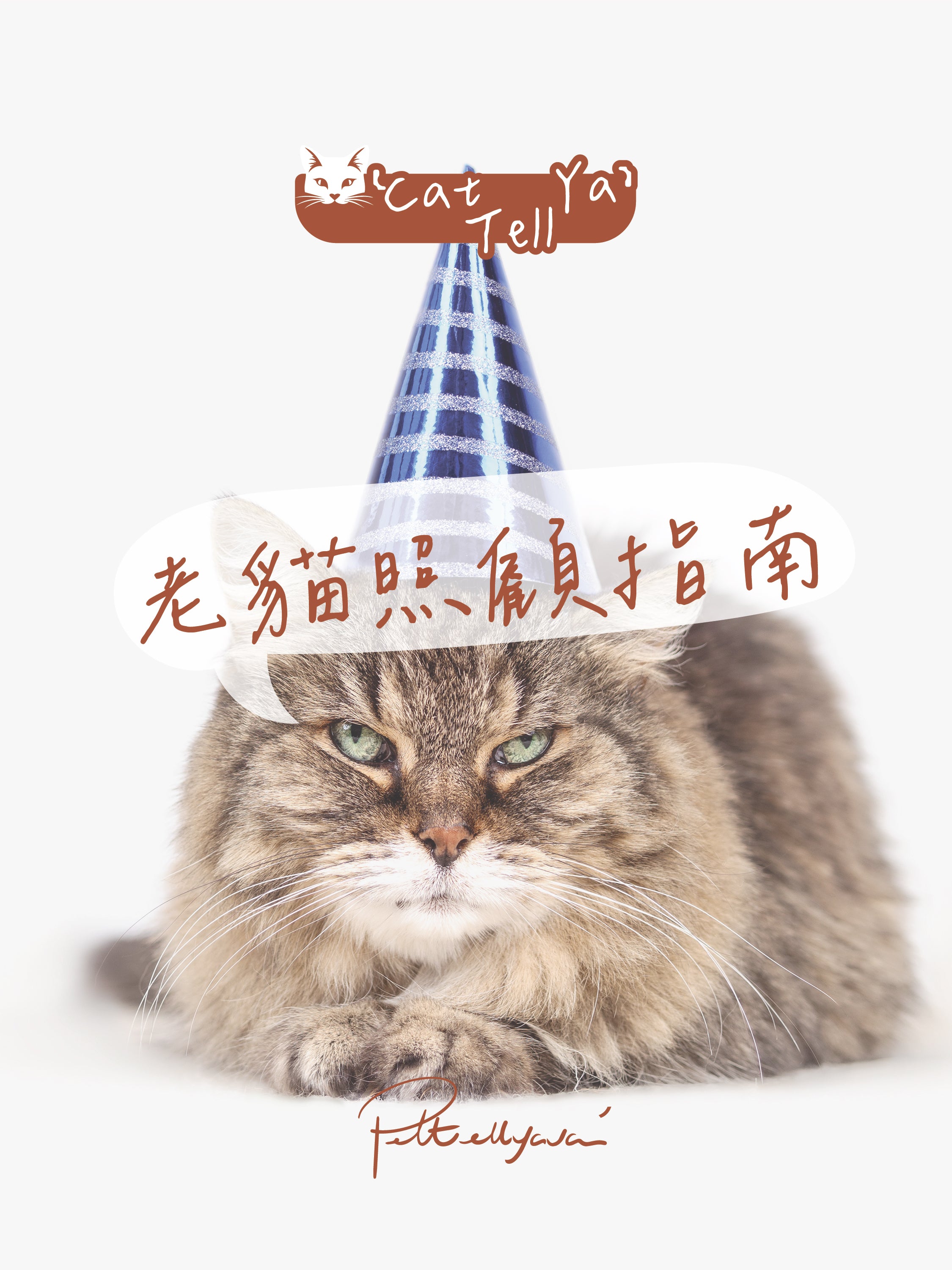 "Cat Tell Ya" 系列 🐱【老貓照顧指南】
