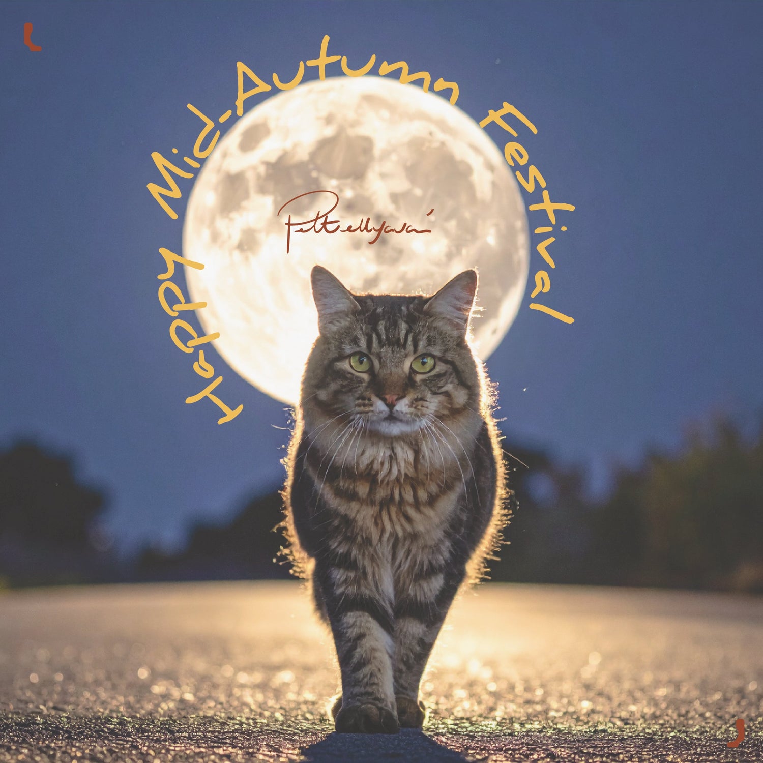 ๐พ๐ Happy Mid-Autumn Festival! ๐๐พ