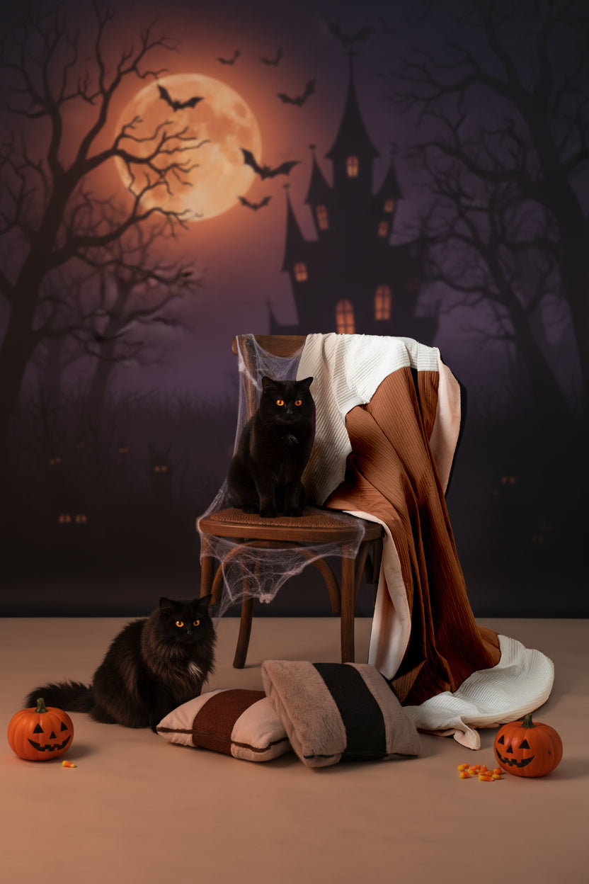 Wishing you a paws-itively spooky Halloween