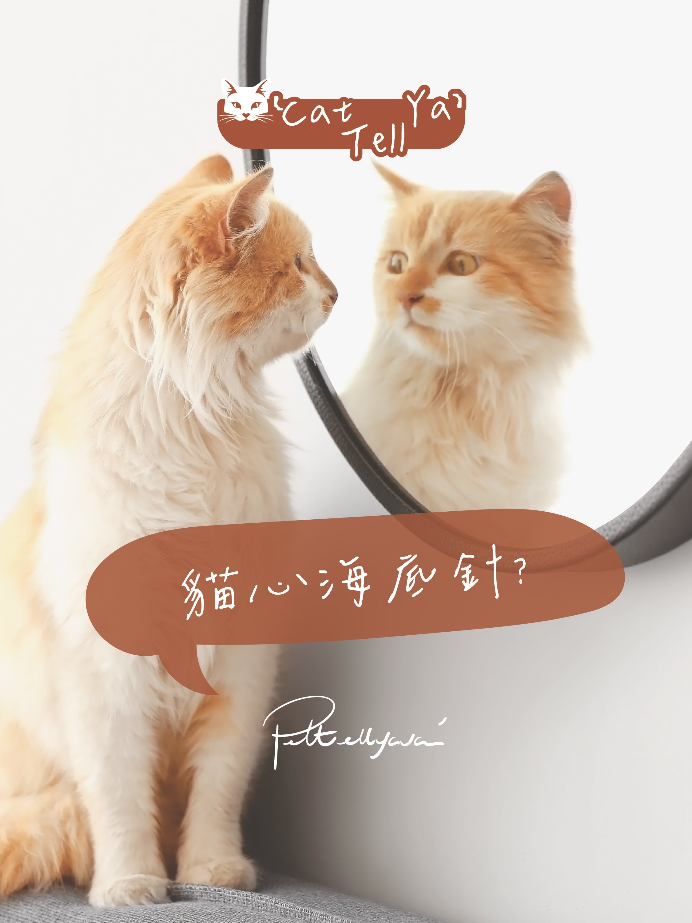 "Cat Tell Ya" 系列【貓心海底針?】