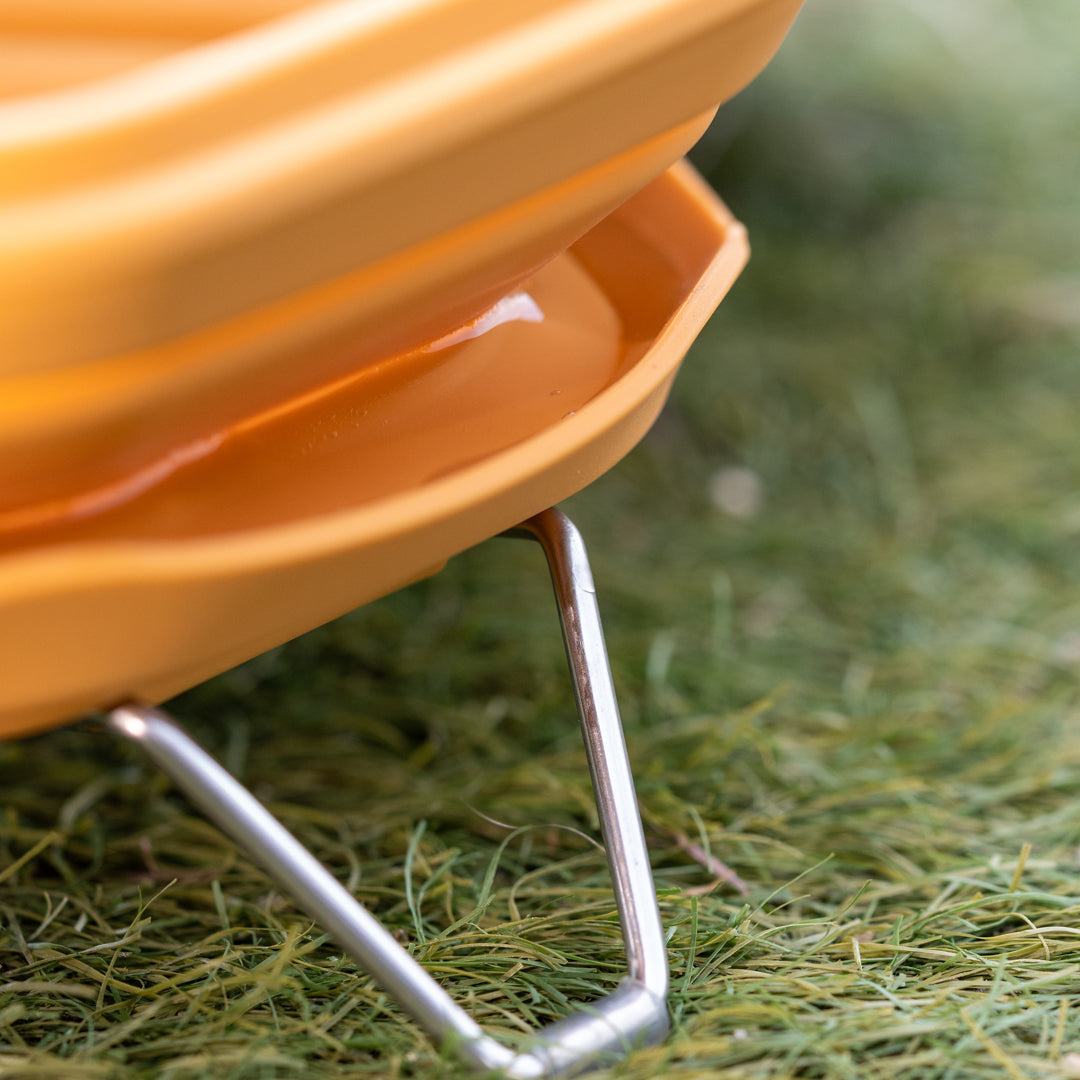 Dinon Portable Pet Bowl