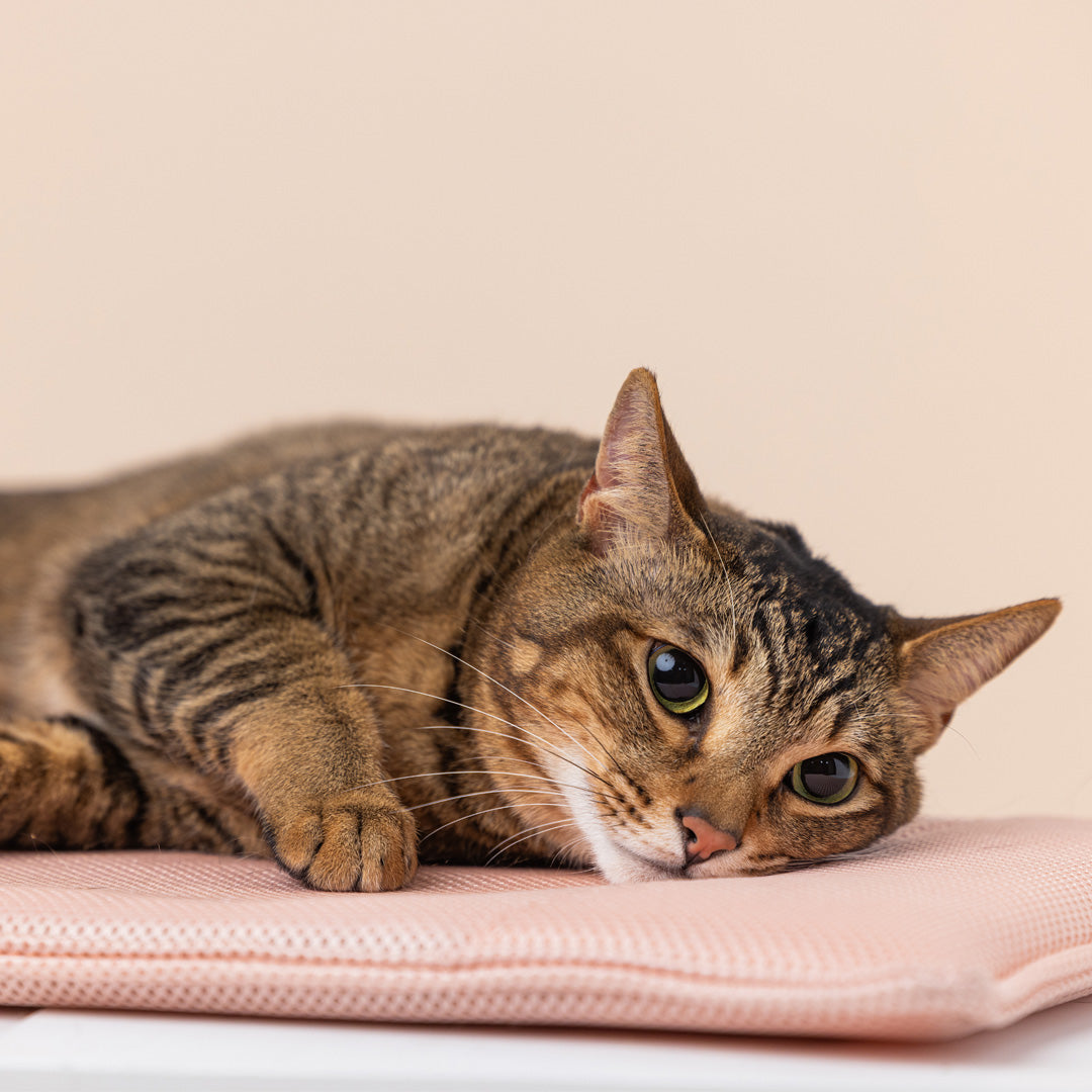 Miqoo Air Cooling Mat