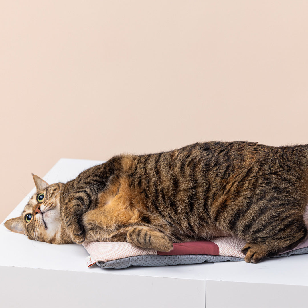 Miqoo Air Cooling Mat