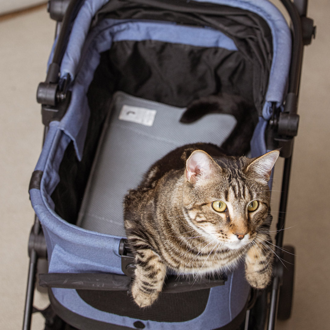 Miqoo Air Cooling Mat