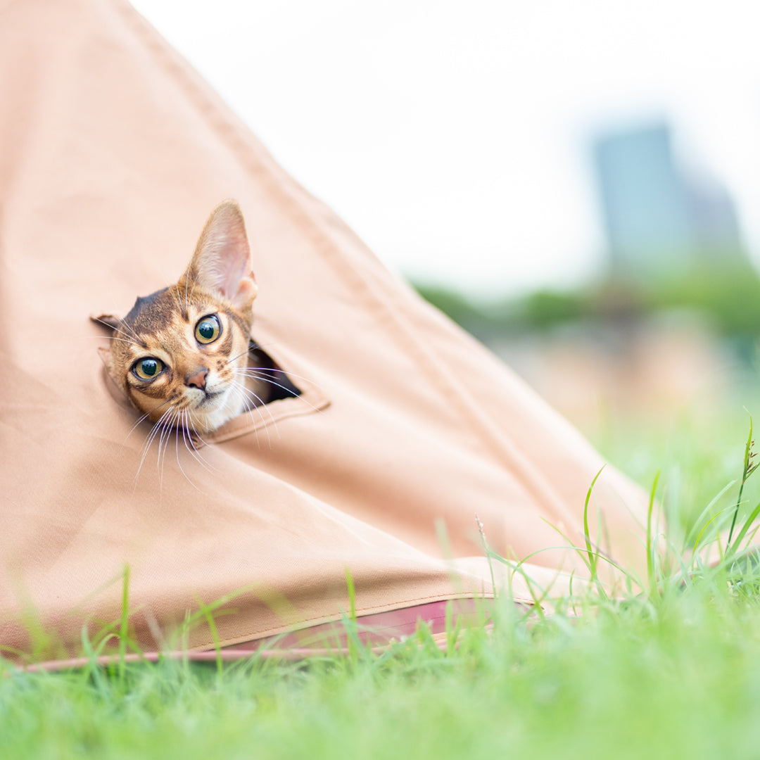 【Pre-Order】Outi Outdoor Mat