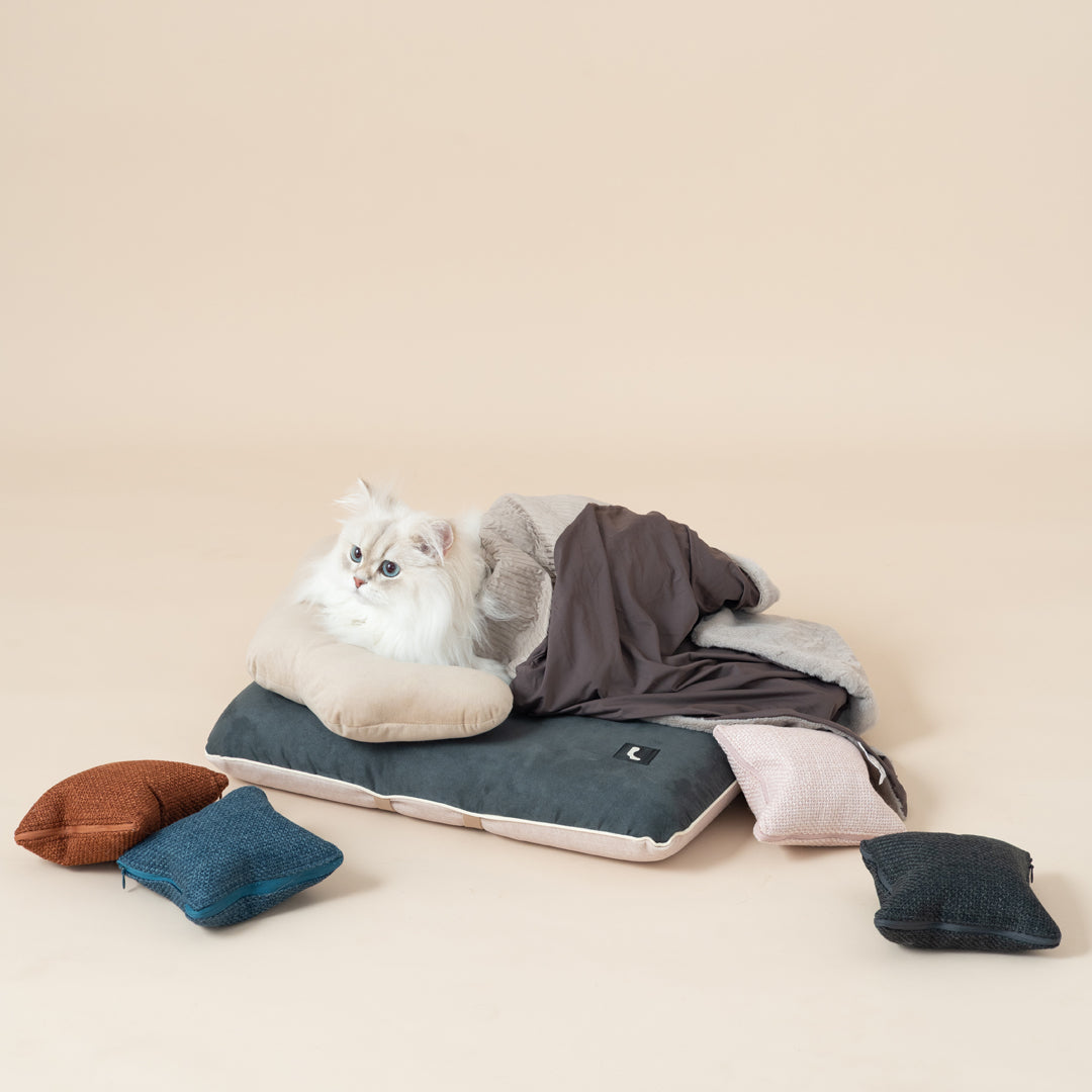 Quin Cushion Blanket