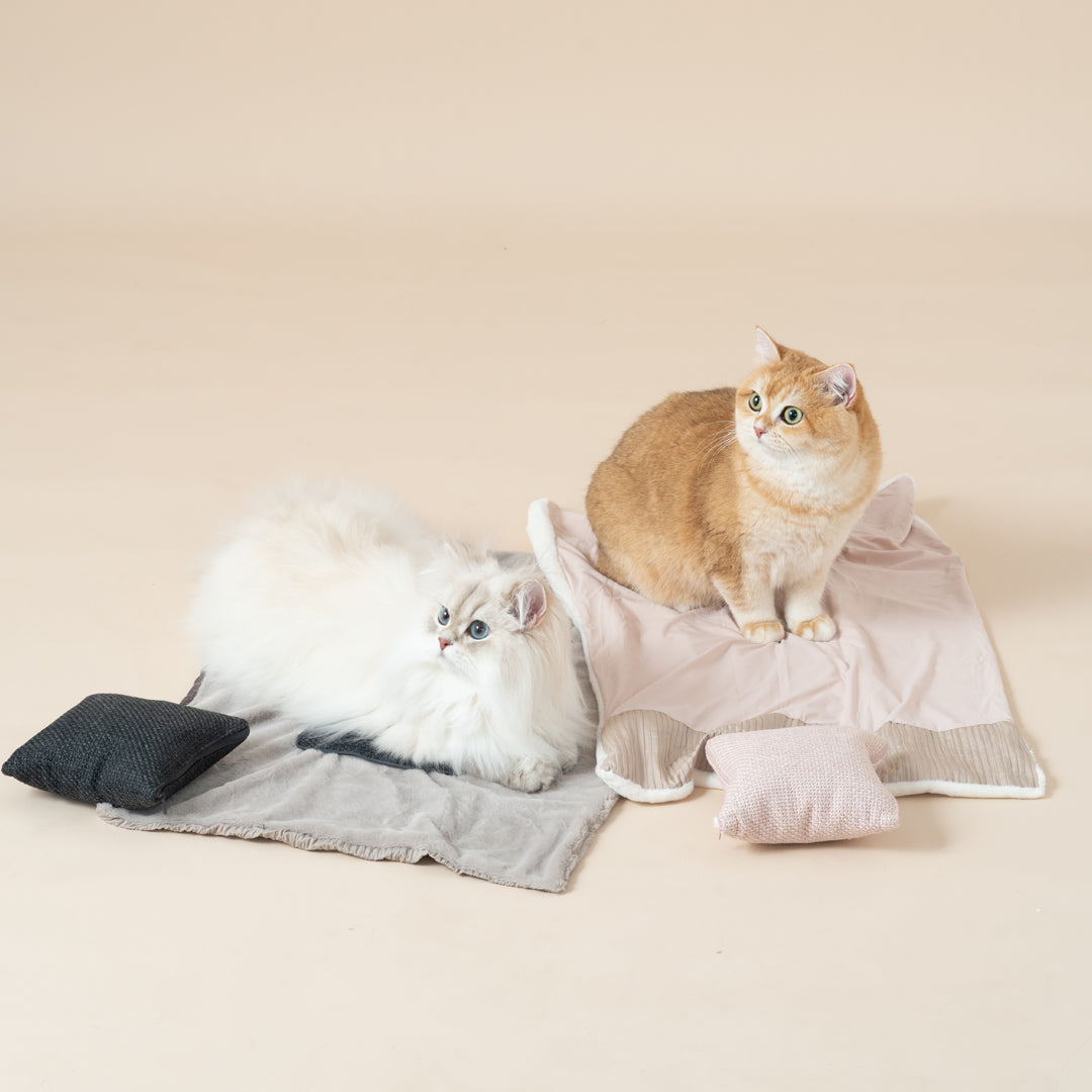 Quin Cushion Blanket