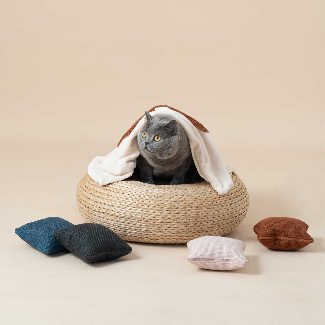 Quin Cushion Blanket