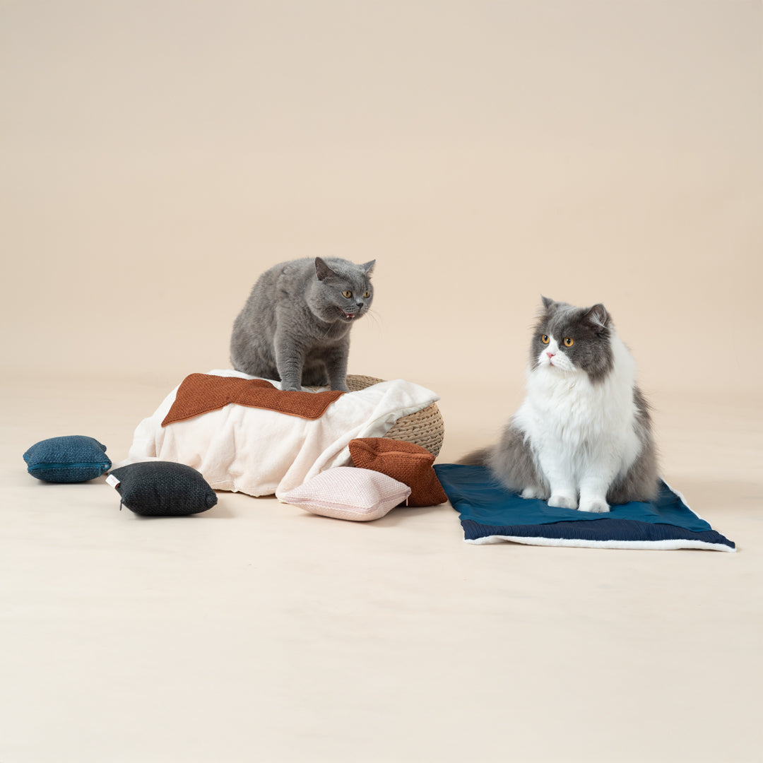 Quin Cushion Blanket