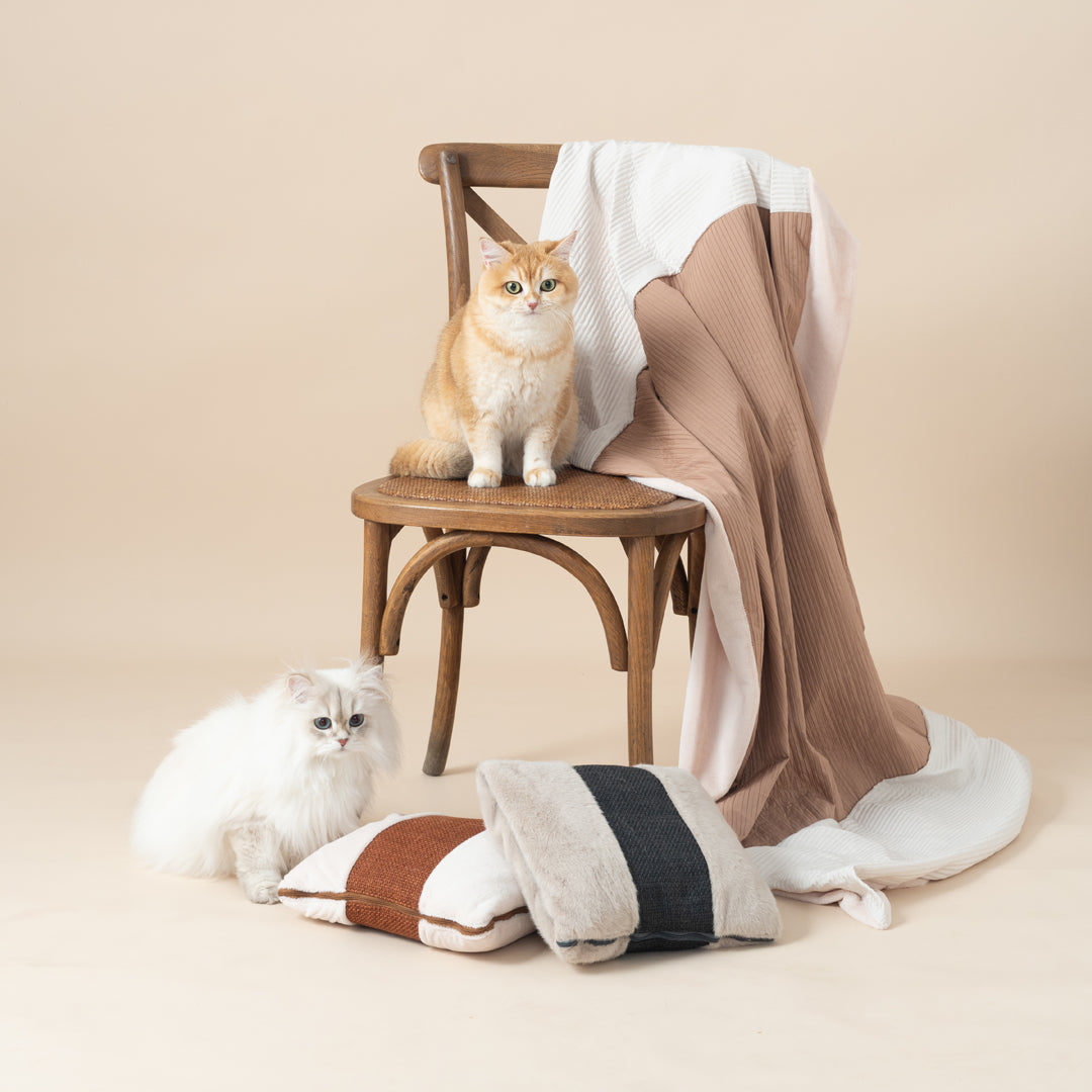 Quin Cushion Blanket