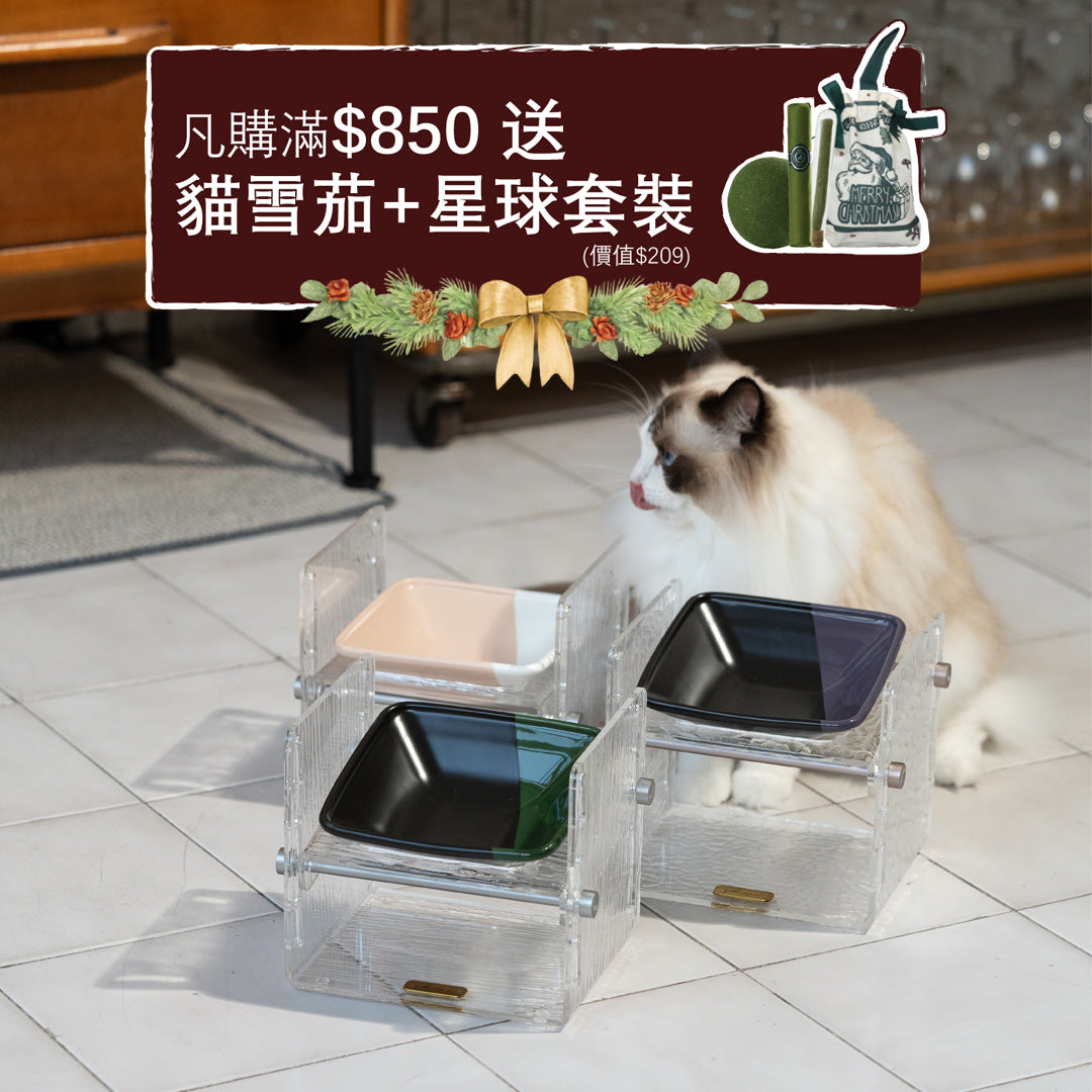 Fito - Adjustable Cat Bowl Set