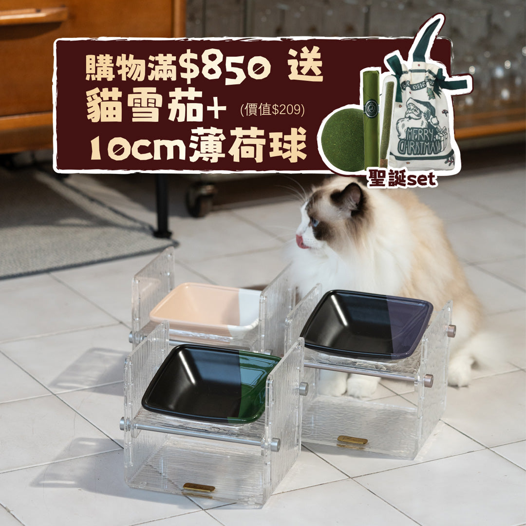 Fito - Adjustable Cat Bowl Set