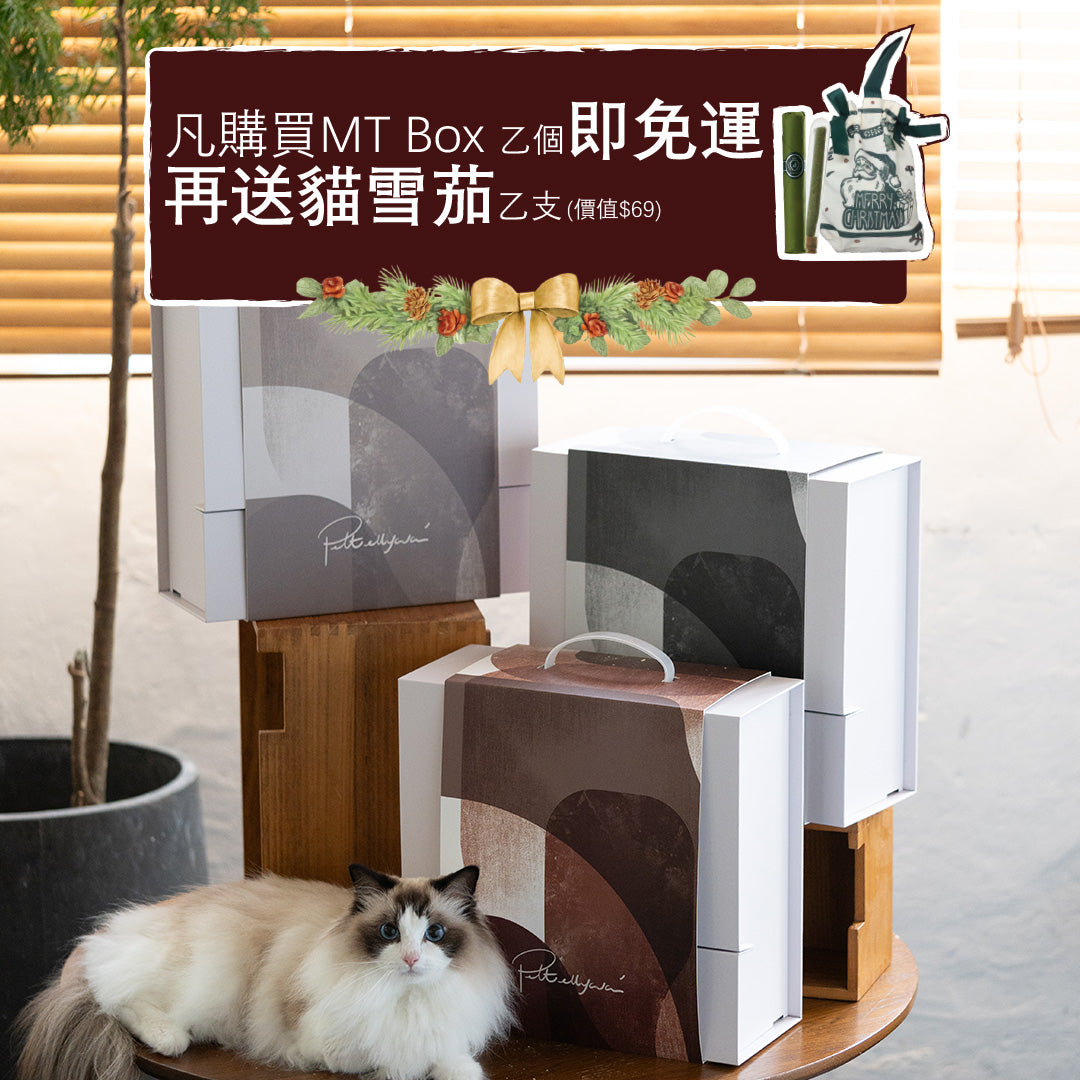 Mystery Box-Cat Scratch Box