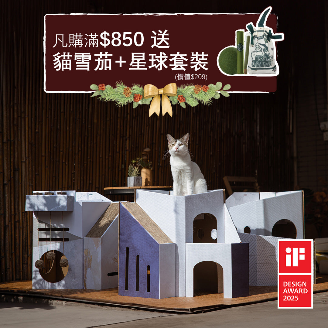 Mini Cat Mansion - Foldable cat house