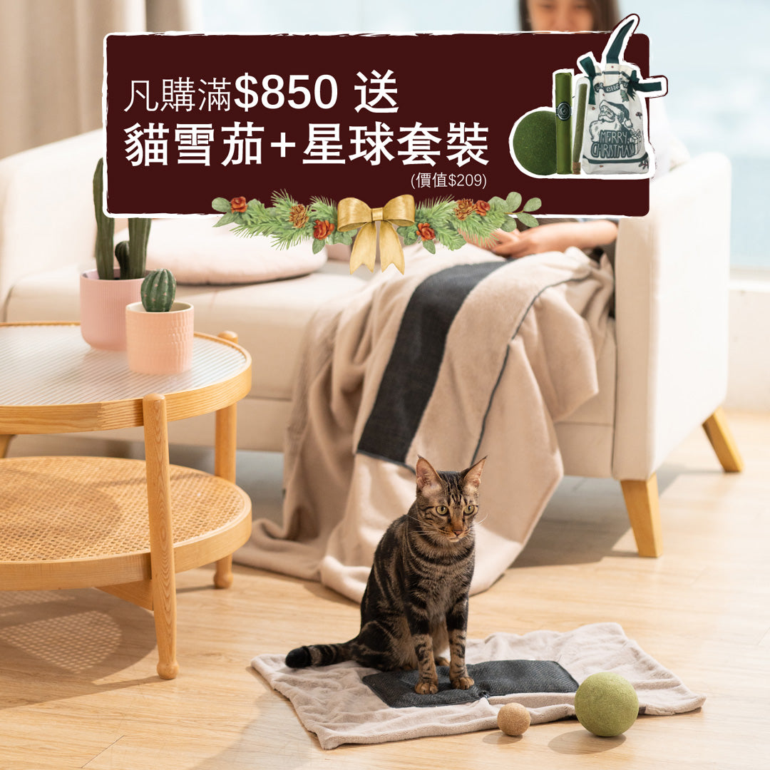 Quin Cushion Blanket