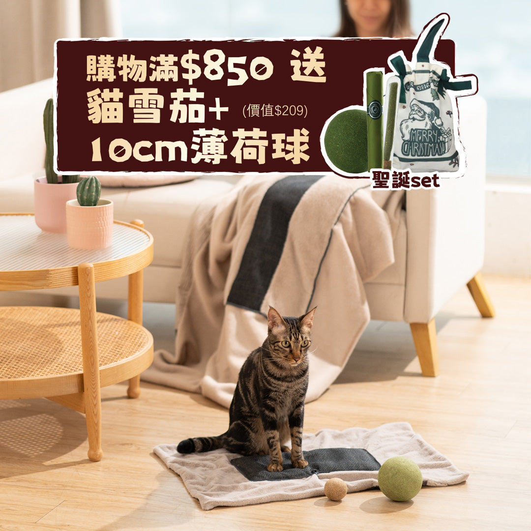 Quin Cushion Blanket