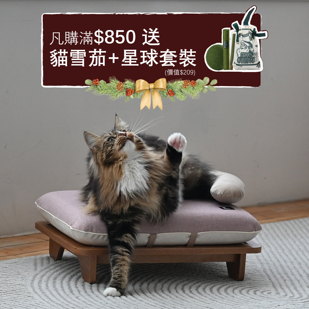 Surro - Pet Bed with Birch Wood Frame Set