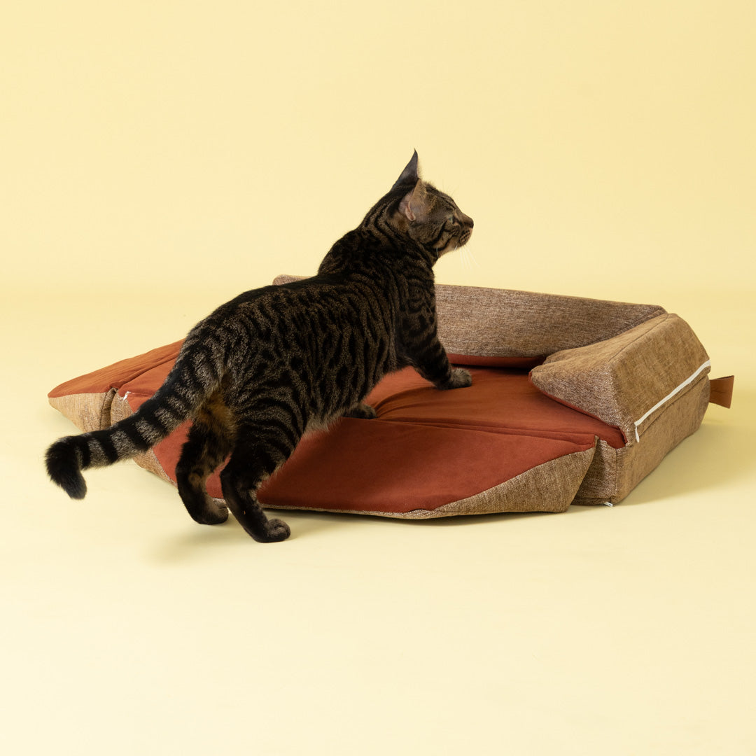 Zenro 斜台床(需訂貨)