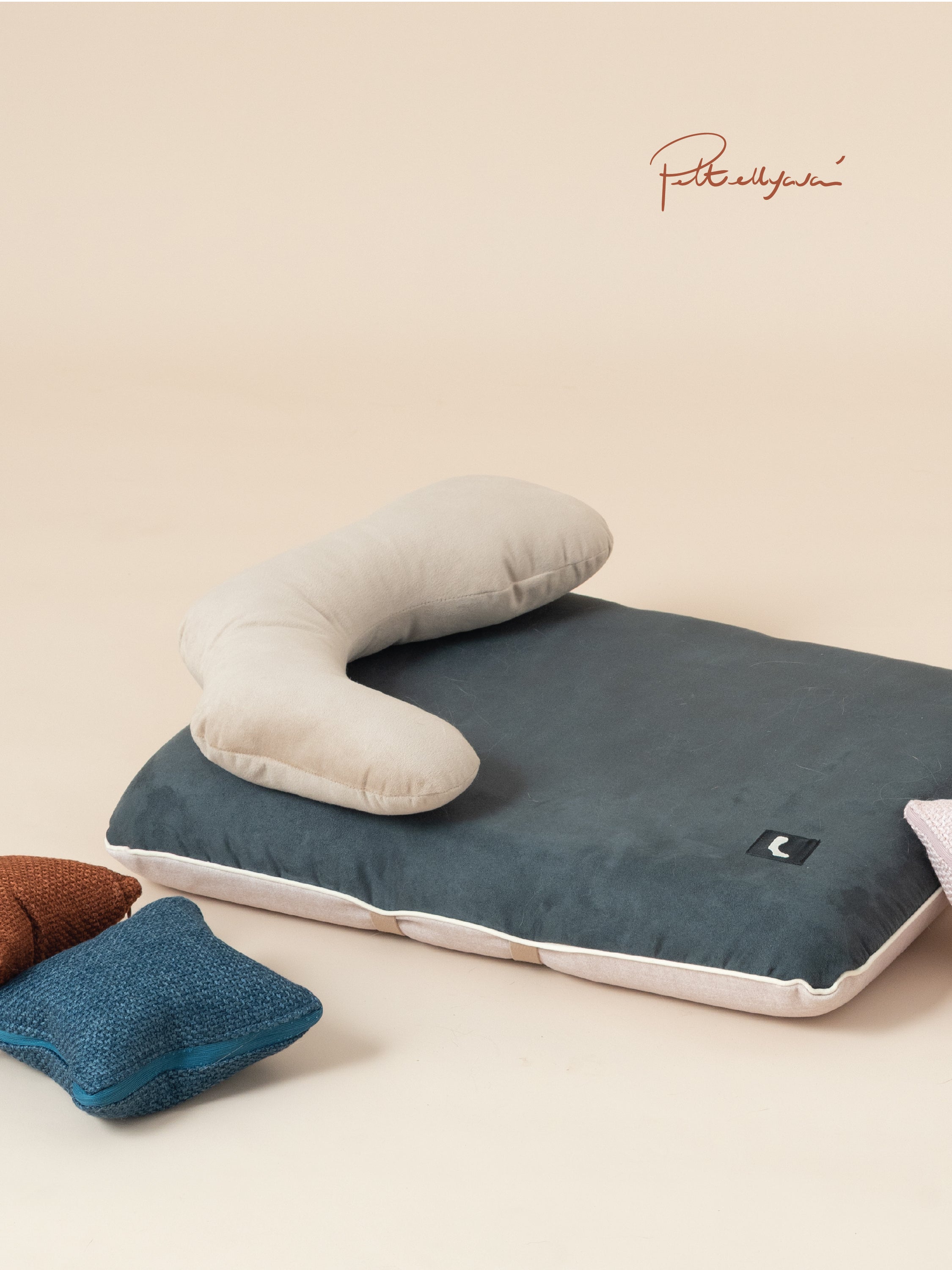 每月用家回圖 Surro🐾貓床