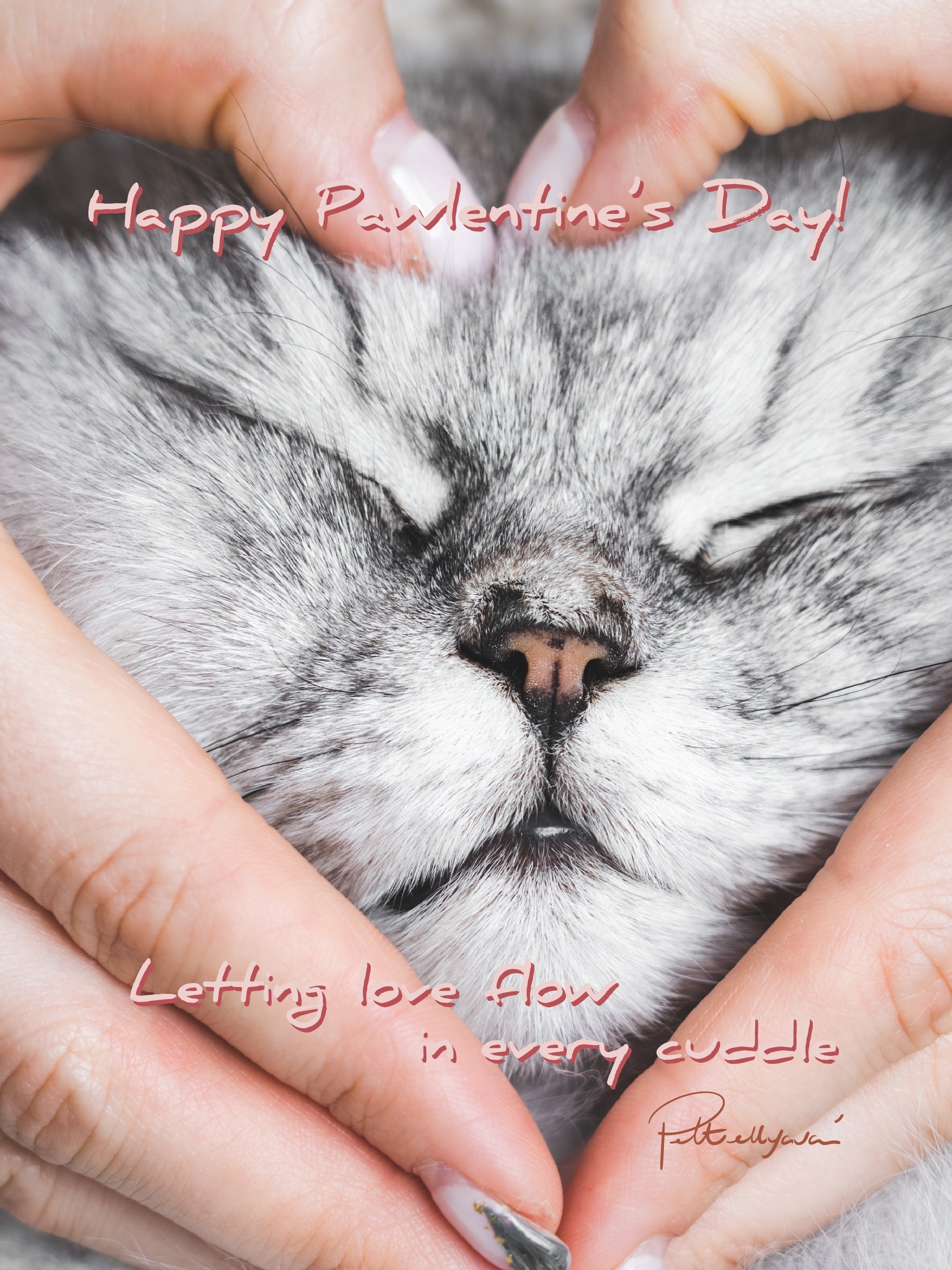 💕🐾 Happy Pawlentine’s Day!