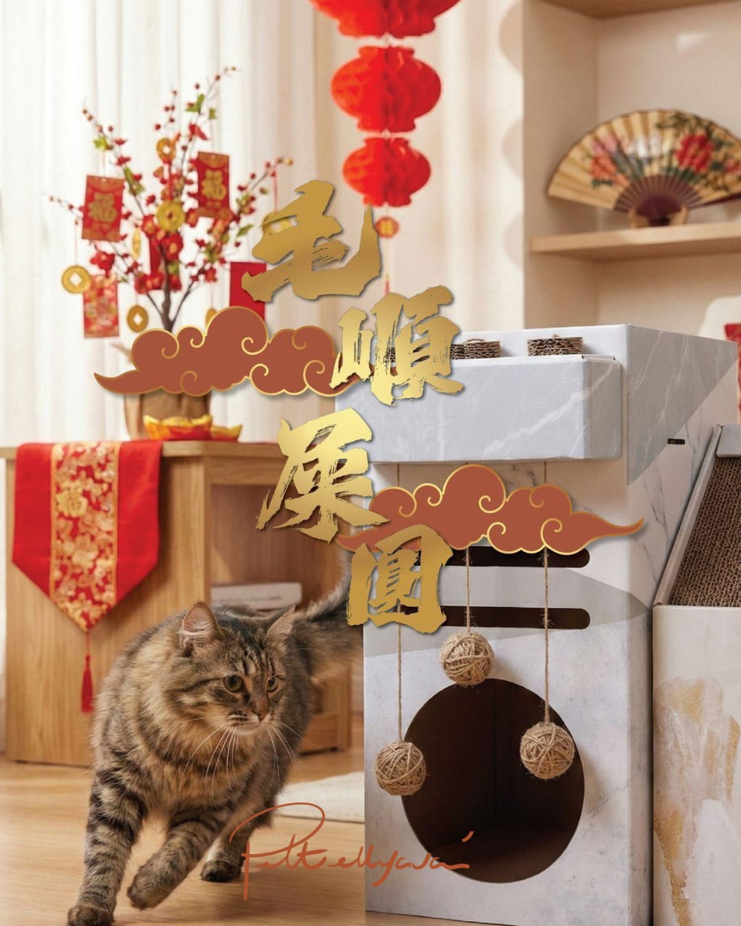 【🧧恭喜喵財🏮】