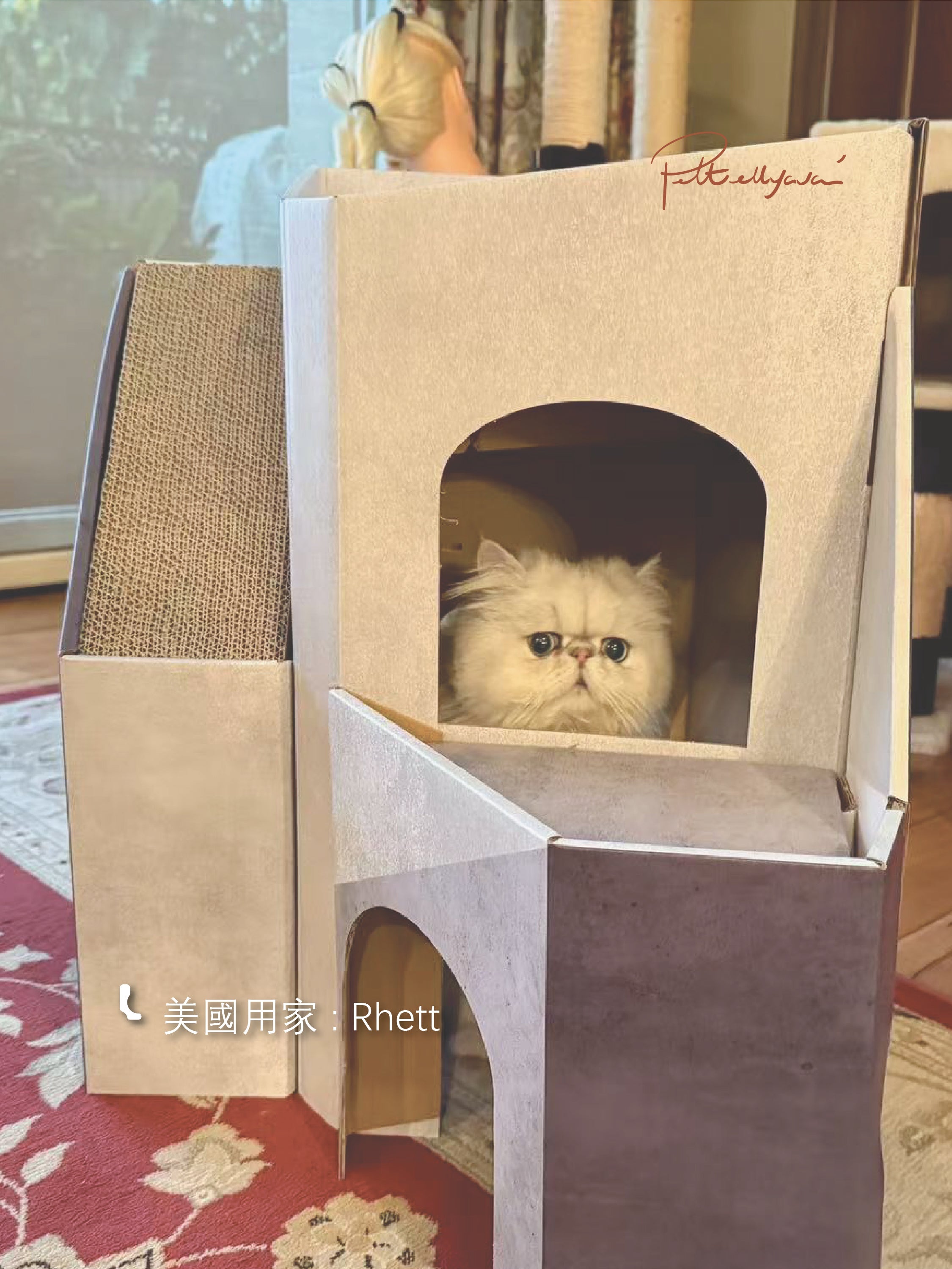 每月用家回圖 Mini Cat Mansion 🐾 貓屋