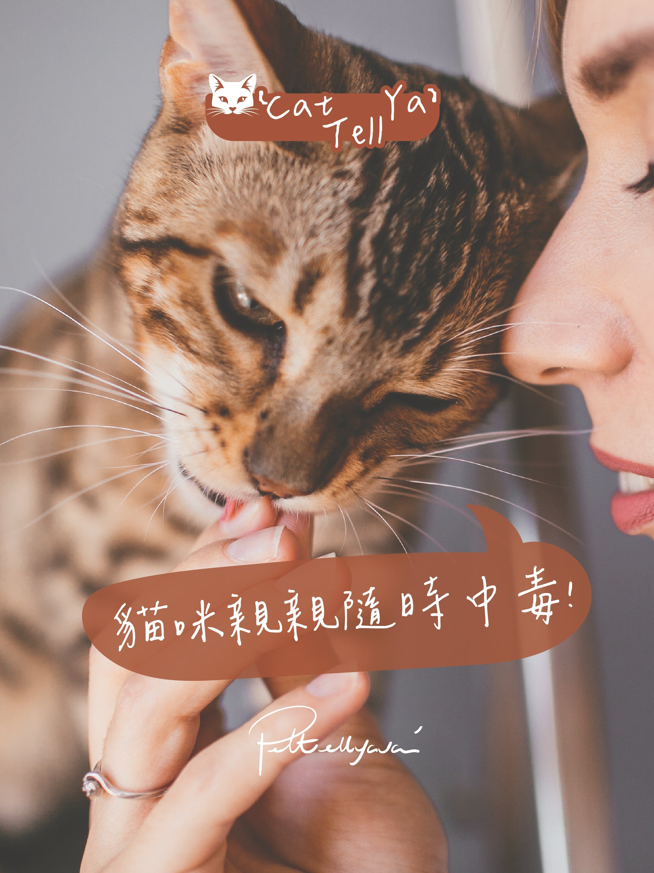 "Cat Tell Ya" 系列 🚨 【貓咪親親你，隨時會中毒!】