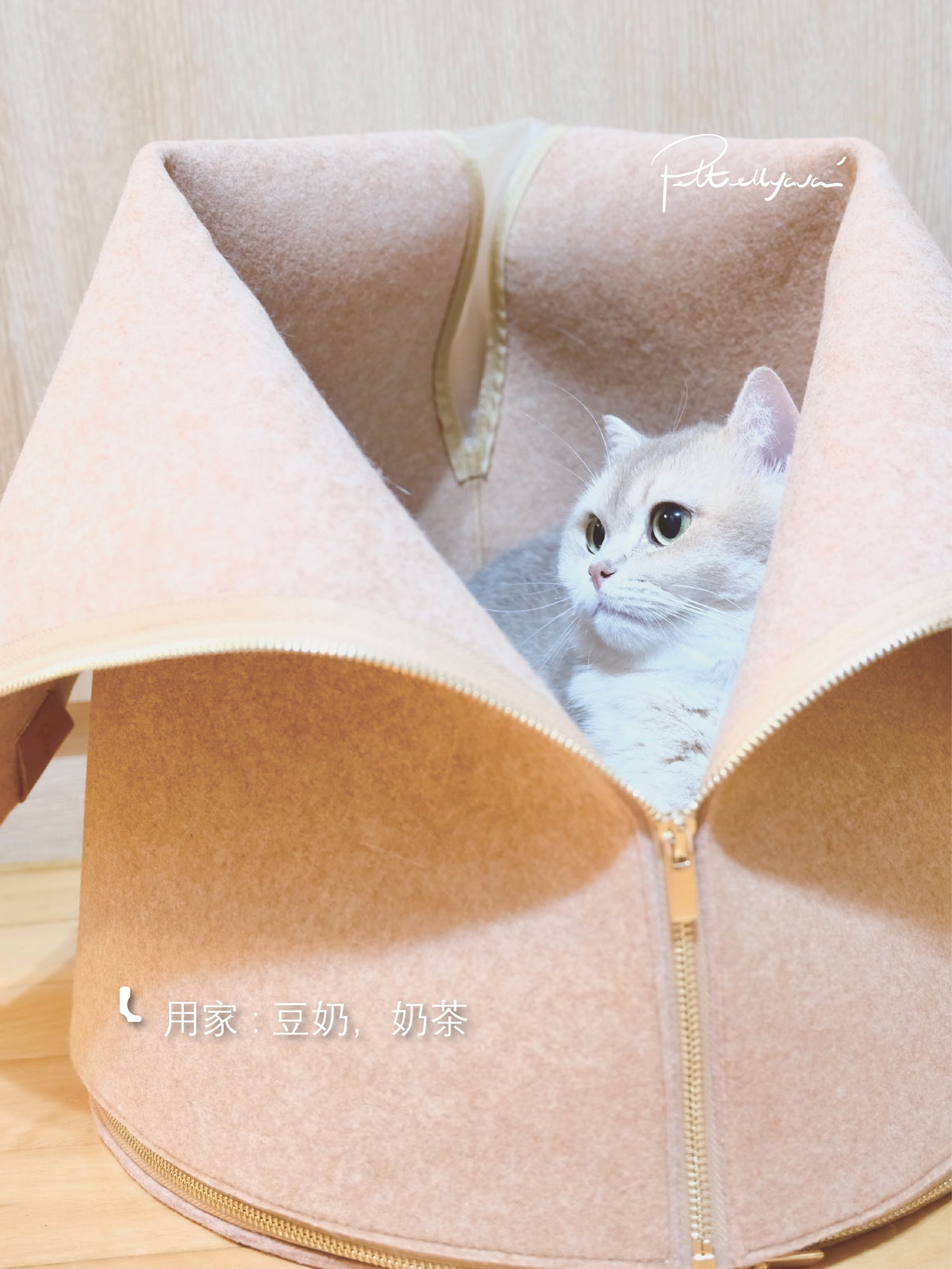 每月用家回圖 Empa👑 皇座