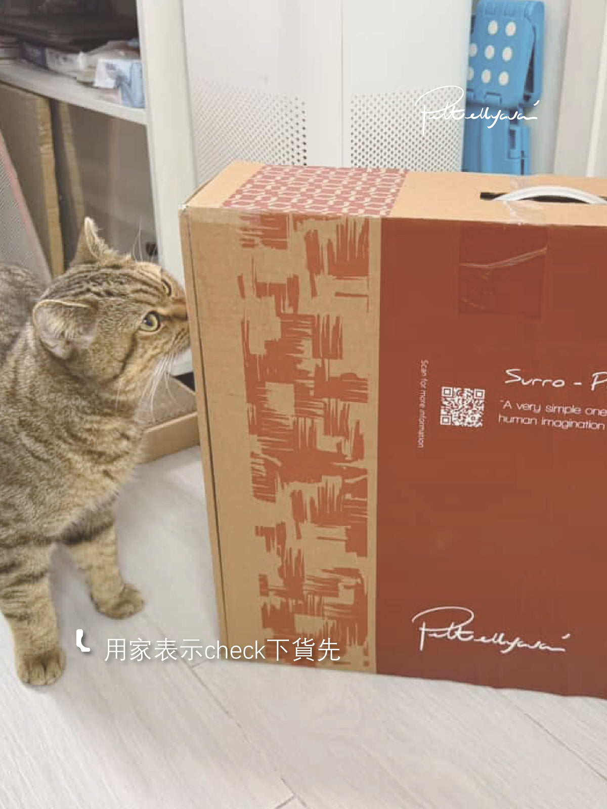 每月用家回圖 Surro🛌 貓床
