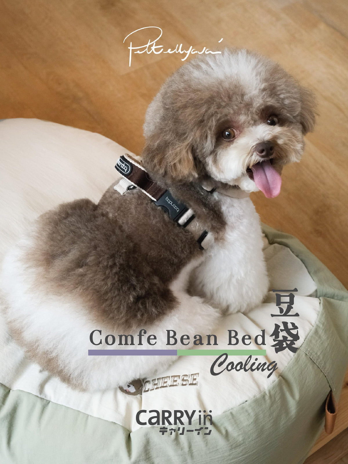 CARRYin Comfe 🫘豆袋 限時優惠