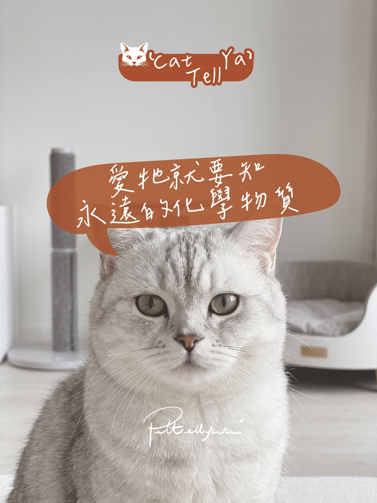 "Cat Tell Ya" 系列 🚨 暗藏「永遠的化學物質」