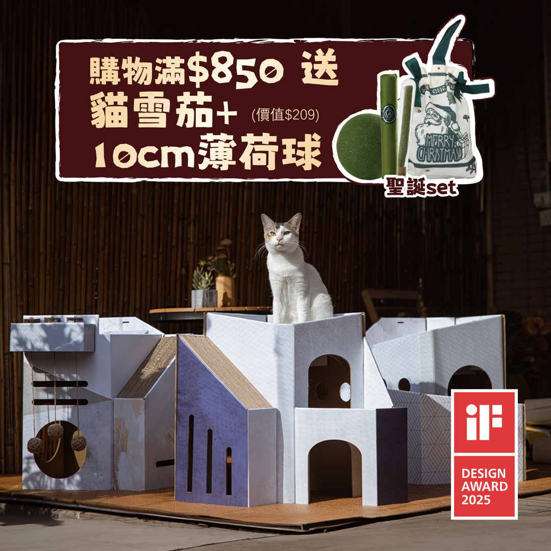 Mini Cat Mansion - Foldable cat house