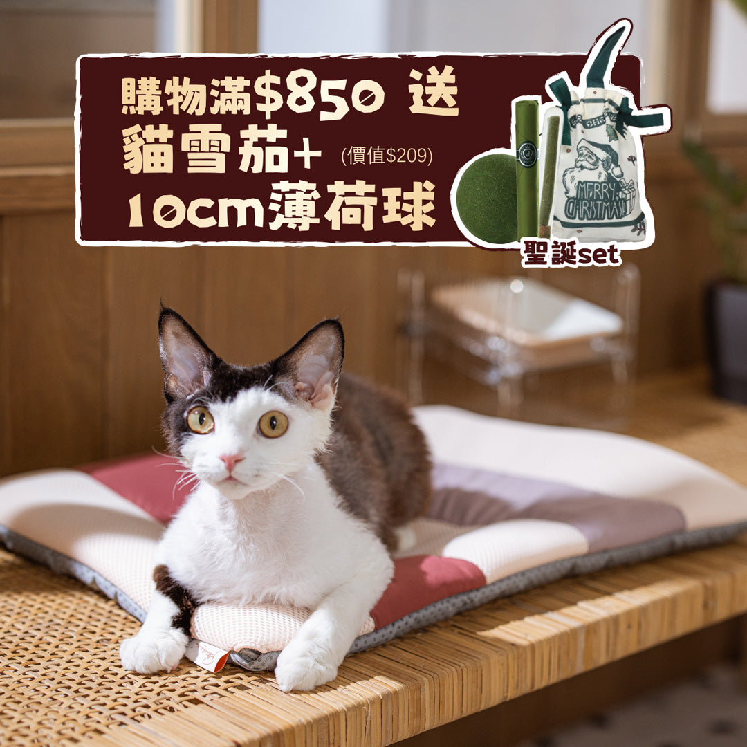 Miqoo Air Cooling Mat