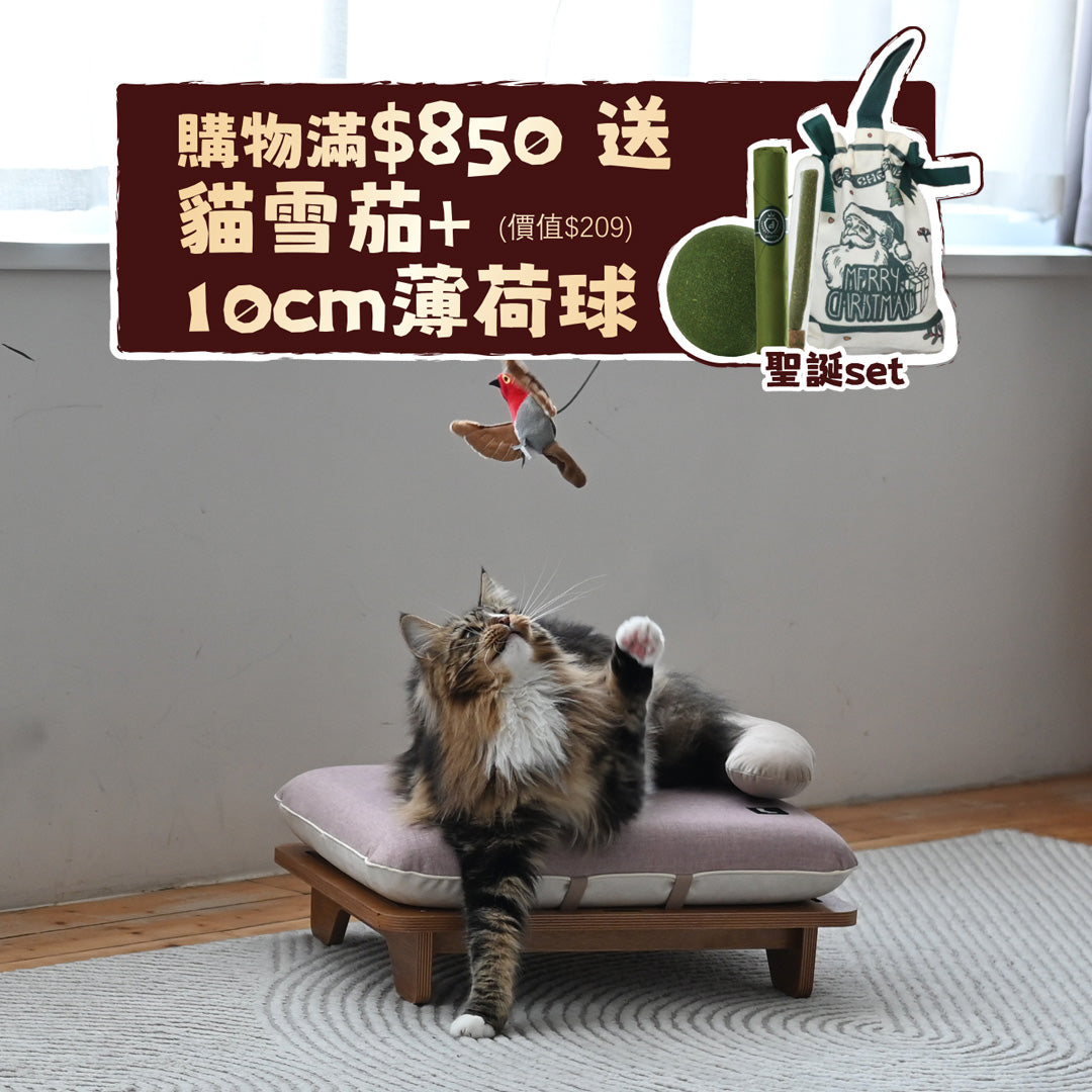 Surro - Pet Bed with Birch Wood Frame Set